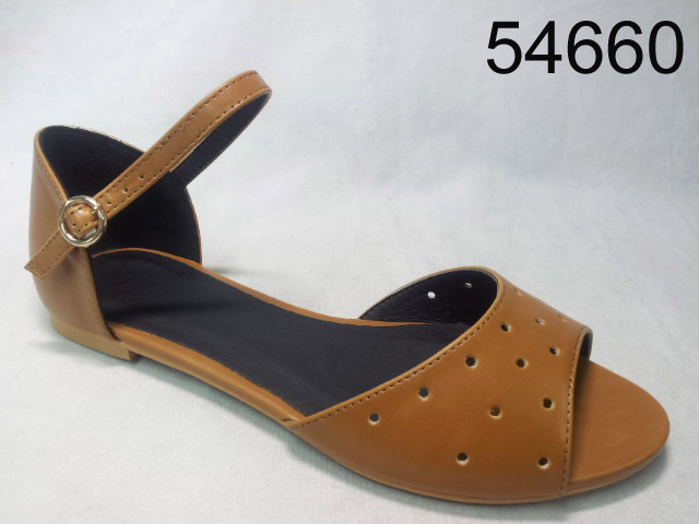 54660 CAMEL 